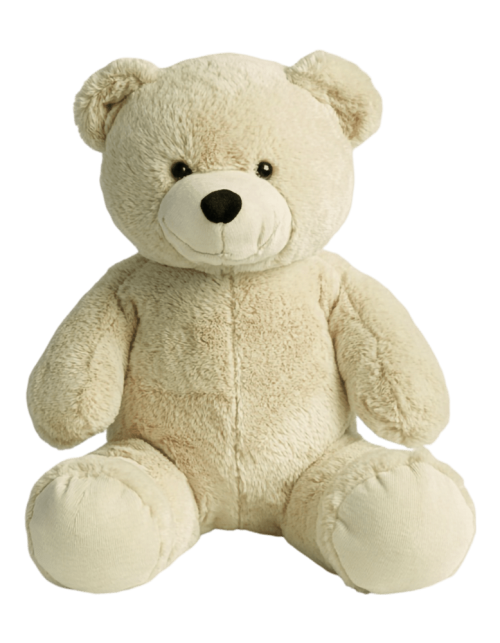 CozyCloud Insect Guard